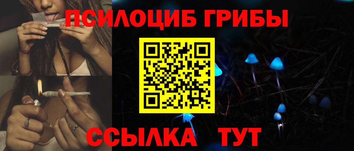 Псилоцибиновые грибы Magic Shrooms  Вход с VPN  Электрогорск 