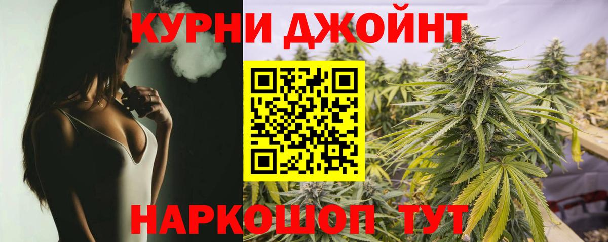 Электрогорск  Шишки марихуана план  Вход с VPN  МАРИХУАНА конопля  Бошки марихуана OG Kush 